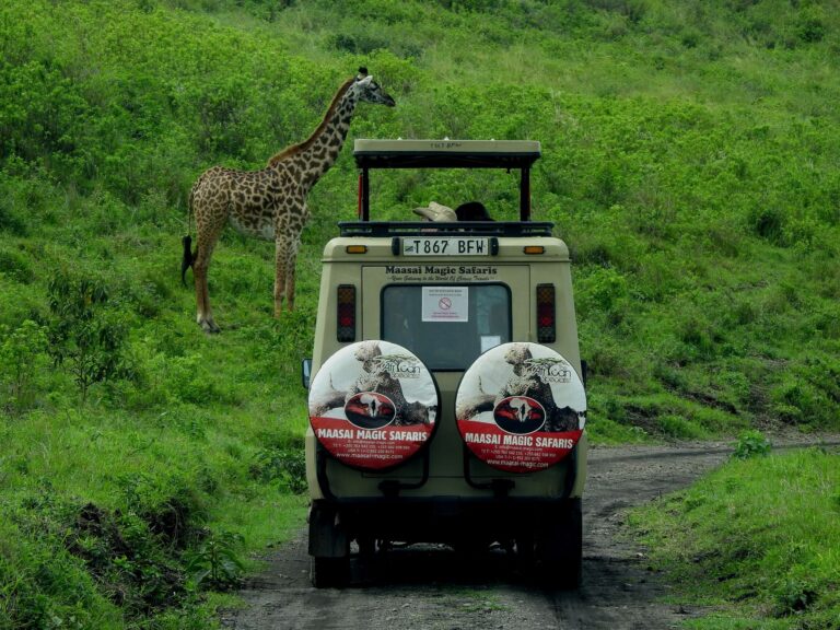 Tanzanie : l’assurance voyage à 44 dollars devient obligatoire le 1er octobre, ce qui change pour votre safari